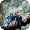 Birds Jigsaw Puzzle World