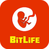 BitLife Life Simulator