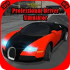 Professional Driver  Car Racing 20192020