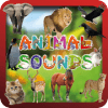 Animal Sounds & Animal Names