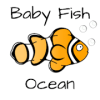 Baby Fish  Ocean