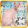 Sphynx cats jigsaw puzzle