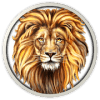 Lion RunBest Animal Running Games for Kids