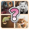 Fun Animals Quiz 2019