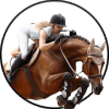 Real Horse Racing & Jumping Simulator 2018 Pro