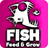 Fish  Feed To Become Grow