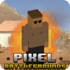 Pixel Battlegrounds  Lost Desert Battle