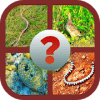 Animals QuizLearn All animals  Travia