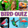 Guess the bird  quiz