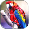 Colorful Parrot Puzzle