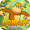 Monkey Catch