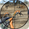 Wild Animal Shooting