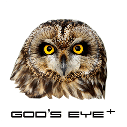 Gods Eye +