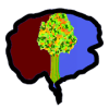 Evolve  Brain Games and Cognitive Training Lite