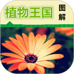 植物王国图解