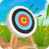 Archery Master Challenges *Bow & Arrows Game