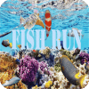 fish koi run 2019