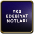 文学票据实践 LYS Pratik Edebiyat Notlar