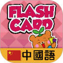 Dr Kids Flash Cards - Chinese