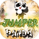 Jumper Panda