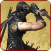 Ninja Hero Warrior : Ninja Vs Western Fighters