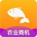 抓魚