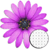 Flower Art Coloring By Number - Pixel