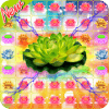 Lotus Garden Flowers - New Blossom Crush Game