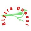 Elytra guss