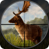 Wild Deer Hunter  deer shooting games