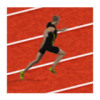 Rug Pr 100 M