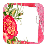 花边相框 Photo Frames Flowers