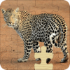 Wild Animals Jigsaw Puzzles **