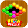 Hexagon Block Puzzle Fun