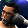 Real Punch Boxing Game 2019  Fighting Star 3D