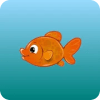 Catch Fishes Amazing Game