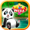 Panda Kids Genius Hexagon Puzzle