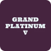 Grand Top Platinum V