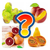 Fruits Name Guess Quiz Game