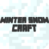 Winter Snow Craft