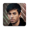 Puzzle Enrique Iglesias