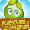 Adventures Of Juicy Berries