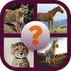 Find the Animals - Best Quiz Game