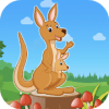 Crazy Kangaroo Adventure