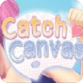 Catch Canvas