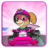 Paw Sky Racing - paw games free