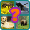 Hidden Animals Quiz