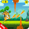 Biso Rabbit Corgi Run  Escape Bunny Game