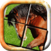 Horse Slide Puzzle: free horses slider puzzle