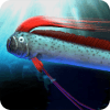 oarfish and mysterious deep-sea fish